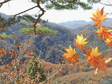 历史上的12月6日无锡梅村最新招聘信息,历史上的今天与未来，无锡梅村的新机遇，你准备好迎接了吗？