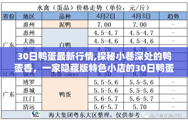 探秘小巷深处的鸭蛋香，特色小店最新行情揭秘