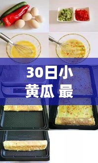 30日小黄瓜最新系列全面评测，特性、体验、竞品对比及用户群体深度分析