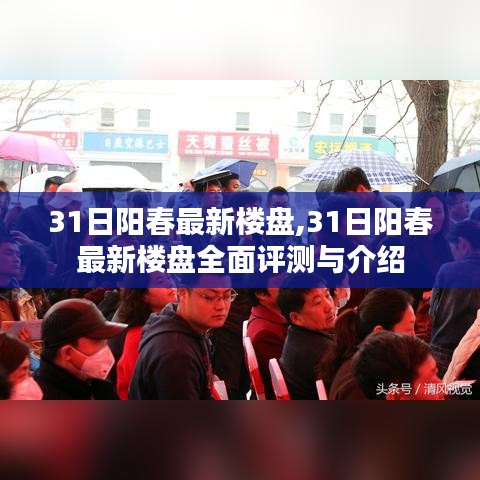 阳春最新楼盘评测与介绍，全面指南