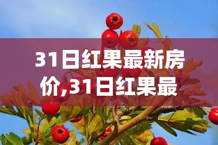 红果最新房价动态，深度分析市场趋势，把握购房最佳时机