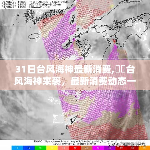 台风海神最新消费动态解析，一网打尽台风来袭影响——31日报告