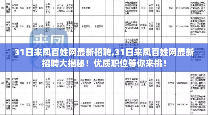 31日来凤百姓网最新招聘大揭秘，优质职位等你来挑战！