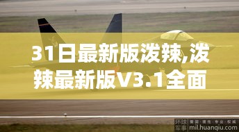 泼辣V3.1全面评测与介绍，最新特性一览