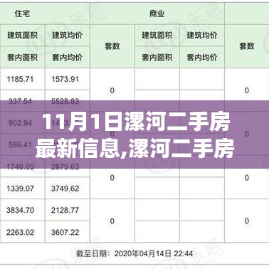 11月1日漯河二手房最新信息，家的温暖与友情的奇遇新篇章