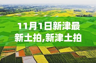 11月1日新津土拍火热继续，事件深度解析