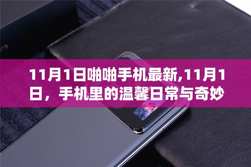 11月1日手机里的温馨日常与奇妙友情——啪啪手机最新动态