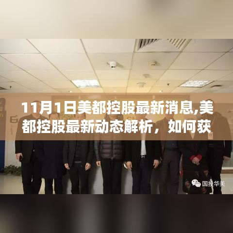 美都控股最新动态解析与获取指南，11月1日消息解读