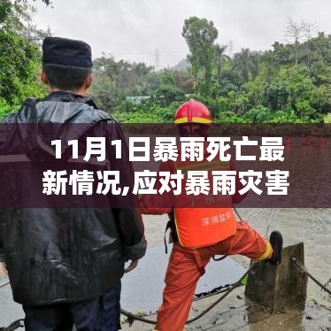 11月1日暴雨灾害应对指南，死亡最新情况与应对步骤（初学者到进阶用户必备）