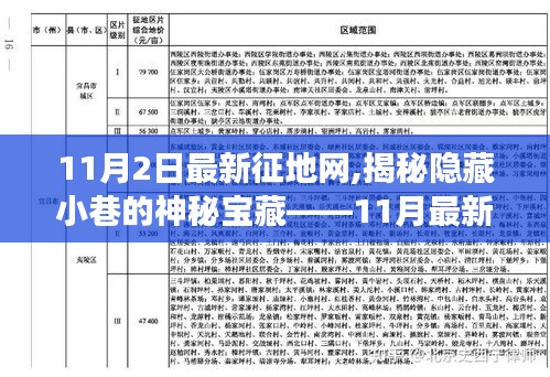 揭秘隐藏小巷的神秘宝藏，特色小店探秘之旅——1月最新征地网独家报道