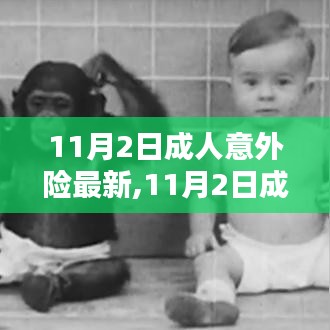 11月2日成人意外险产品全面评测与介绍，最新产品与保障解析