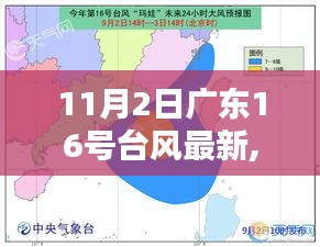 广东面临台风挑战，关于应对台风广东16号的深度分析与观点解读