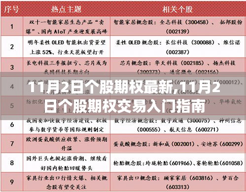 11月2日个股期权最新动态与交易入门指南