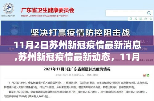 苏州新冠疫情最新动态深度解读，11月2日最新消息与动态分析