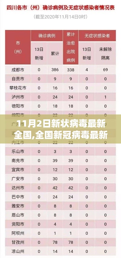 全国新冠病毒最新动态深度解析与观点阐述（11月2日更新）