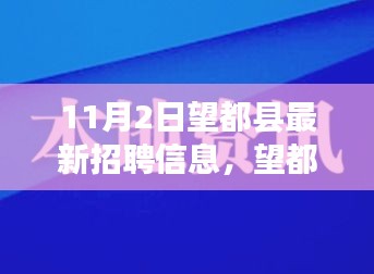 望都县最新招聘全攻略，职位申请指南与求职成功秘诀（附详细步骤）