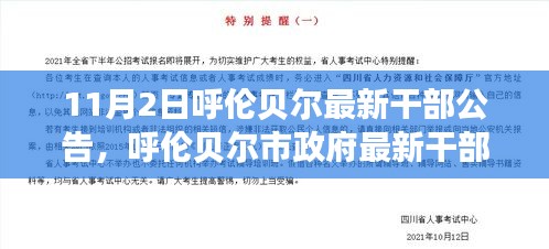 呼伦贝尔市政府最新干部公告解读及公告发布日期分析