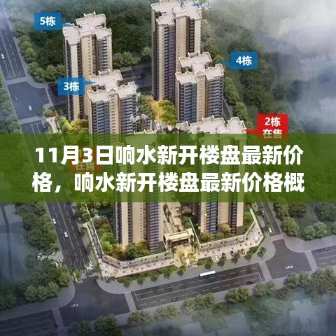 响水新开楼盘最新价格概览，市场洞察报告（11月3日）