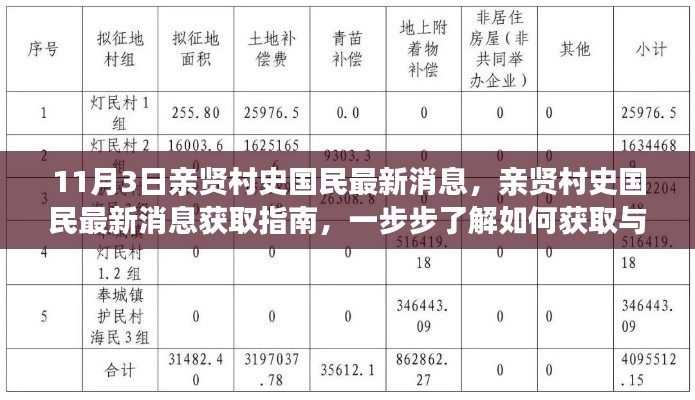 11月3日亲贤村史国民最新消息全解析，获取与解读指南