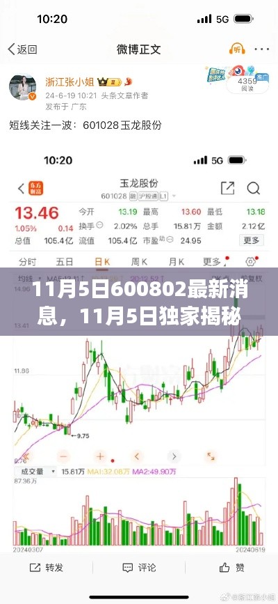 11月5日独家揭秘，忙碌日常中的朋友温馨小故事