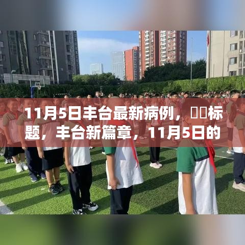 丰台新篇章，自然美景下的宁静邂逅与最新病例关注