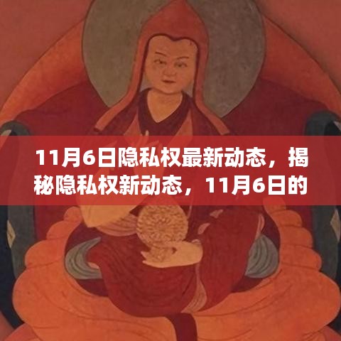 揭秘隐私权新动态，行业变革与未来展望（11月6日最新资讯）