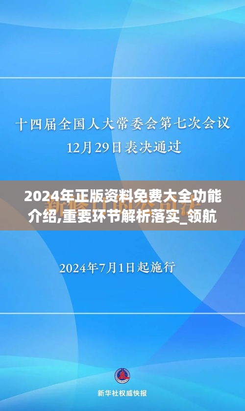 2024年正版资料免费大全功能介绍,重要环节解析落实_领航型60.577