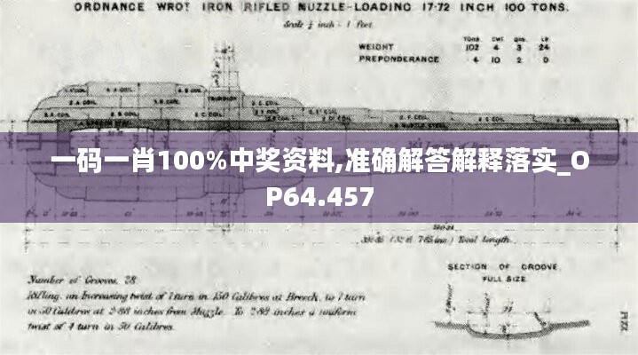 一码一肖100%中奖资料,准确解答解释落实_OP64.457