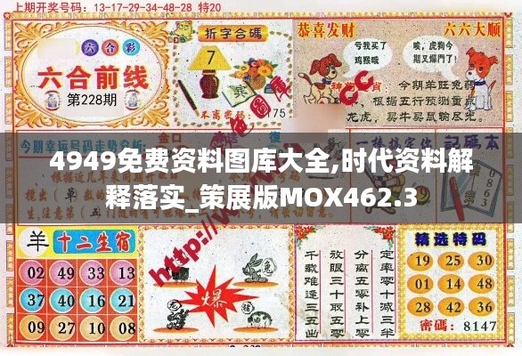 4949免费资料图库大全,时代资料解释落实_策展版MOX462.3