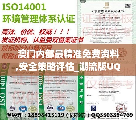 澳门内部最精准免费资料,安全策略评估_潮流版UQH364.24