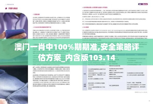 澳门一肖中100%期期准,安全策略评估方案_内含版103.14