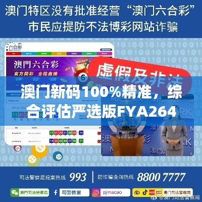 澳门新码100%精准，综合评估严选版FYA264.87