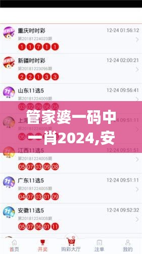 管家婆一码中一肖2024,安全设计策略解析_公开版465.61