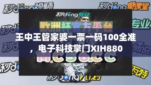 王中王管家婆一票一码100全准，电子科技掌门XIH880