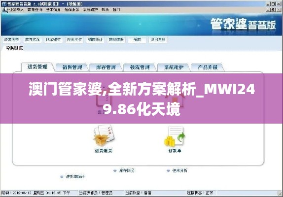 澳门管家婆,全新方案解析_MWI249.86化天境