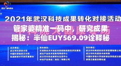 管家婆精准一码中，研究成果揭秘：半仙EUY569.09诠释秘诀