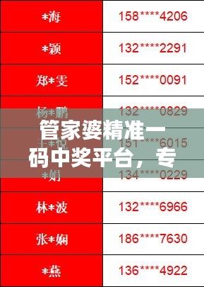 管家婆精准一码中奖平台，专业解答调整版QAW287.51问题