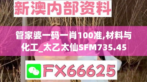 管家婆一码一肖100准,材料与化工_太乙太仙SFM735.45