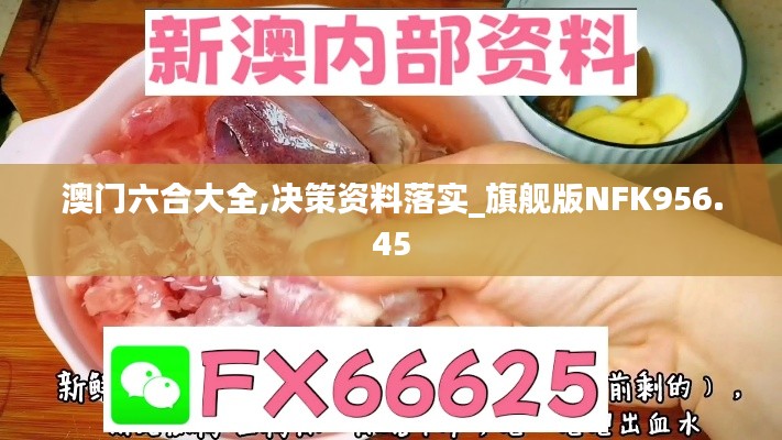 澳门六合大全,决策资料落实_旗舰版NFK956.45