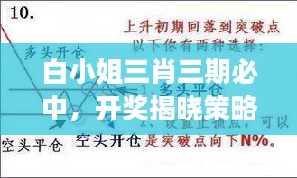 白小姐三肖三期必中，开奖揭晓策略解析_破仙境资源实施方略ELJ826.85