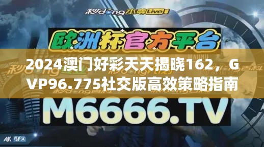 2024澳门好彩天天揭晓162，GVP96.775社交版高效策略指南