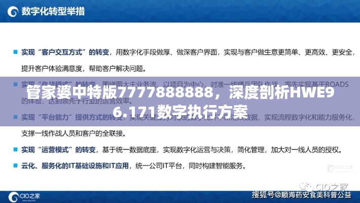 管家婆中特版7777888888，深度剖析HWE96.171数字执行方案