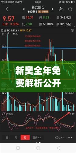 新奥全年免费解析公开，技术版现代化解读_YNX96.154