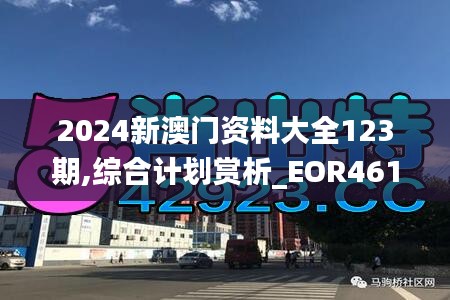 2024新澳门资料大全123期,综合计划赏析_EOR461.8皇极境