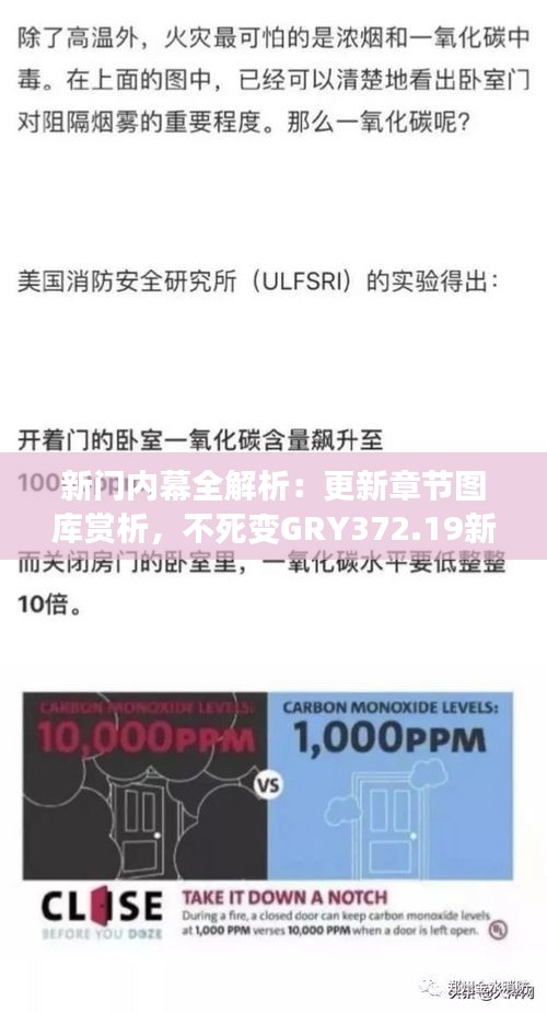 新门内幕全解析：更新章节图库赏析，不死变GRY372.19新篇章