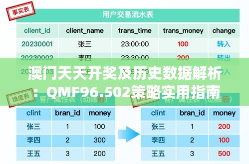 澳门天天开奖及历史数据解析：QMF96.502策略实用指南