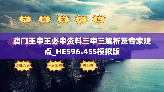 澳门王中王必中资料三中三解析及专家观点_HES96.455模拟版