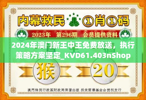 2024年澳门新王中王免费放送，执行策略方案坚定_KVD61.403nShop