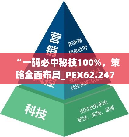 “一码必中秘技100%，策略全面布局_PEX62.247速效版”