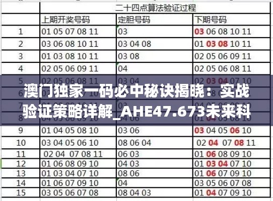 澳门独家一码必中秘诀揭晓：实战验证策略详解_AHE47.673未来科技版